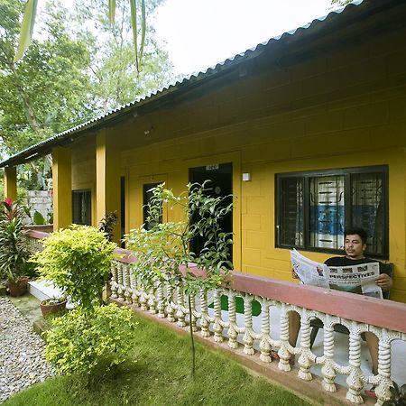 Sauraha Nana Hotel ภายนอก รูปภาพ